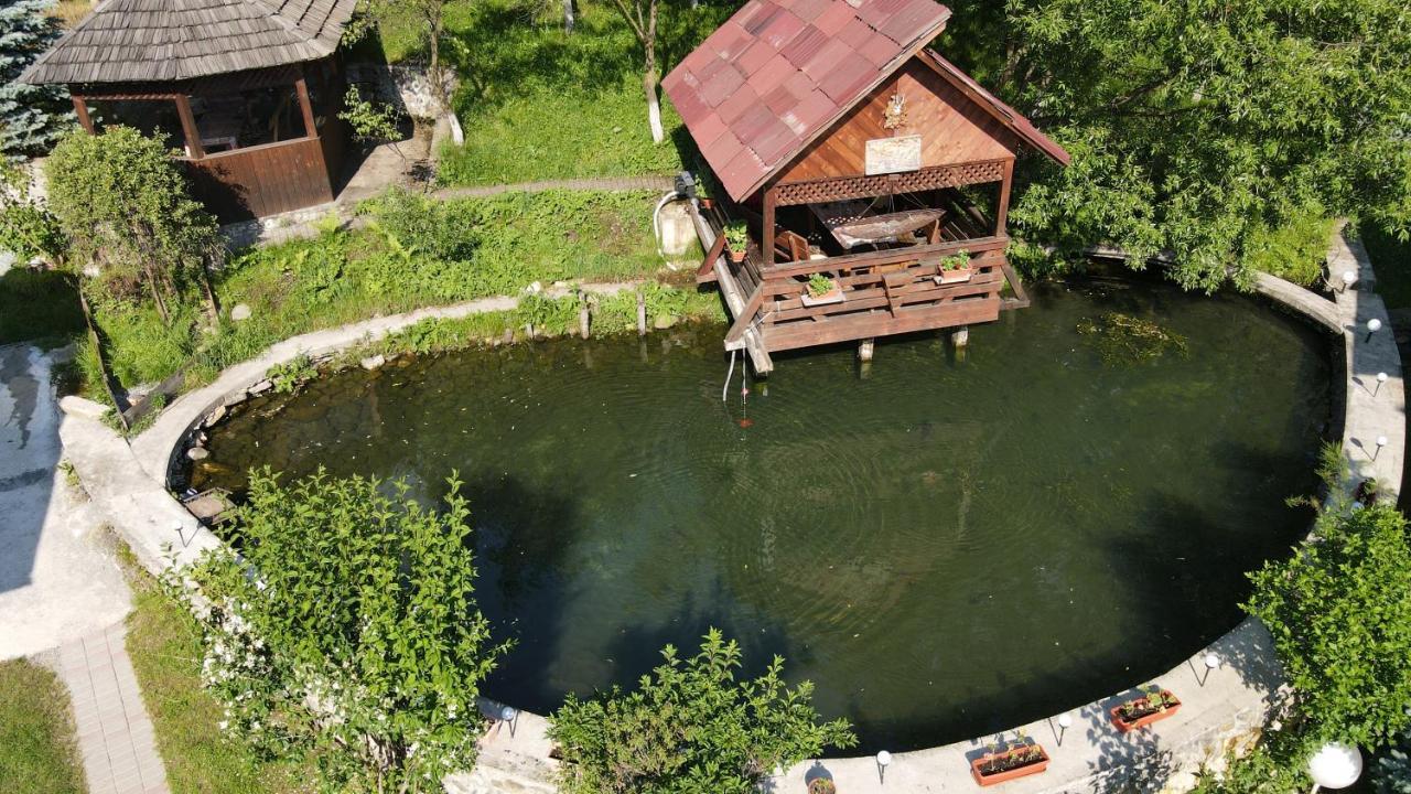 Pensiunea Nagy Viseu de Sus Bagian luar foto